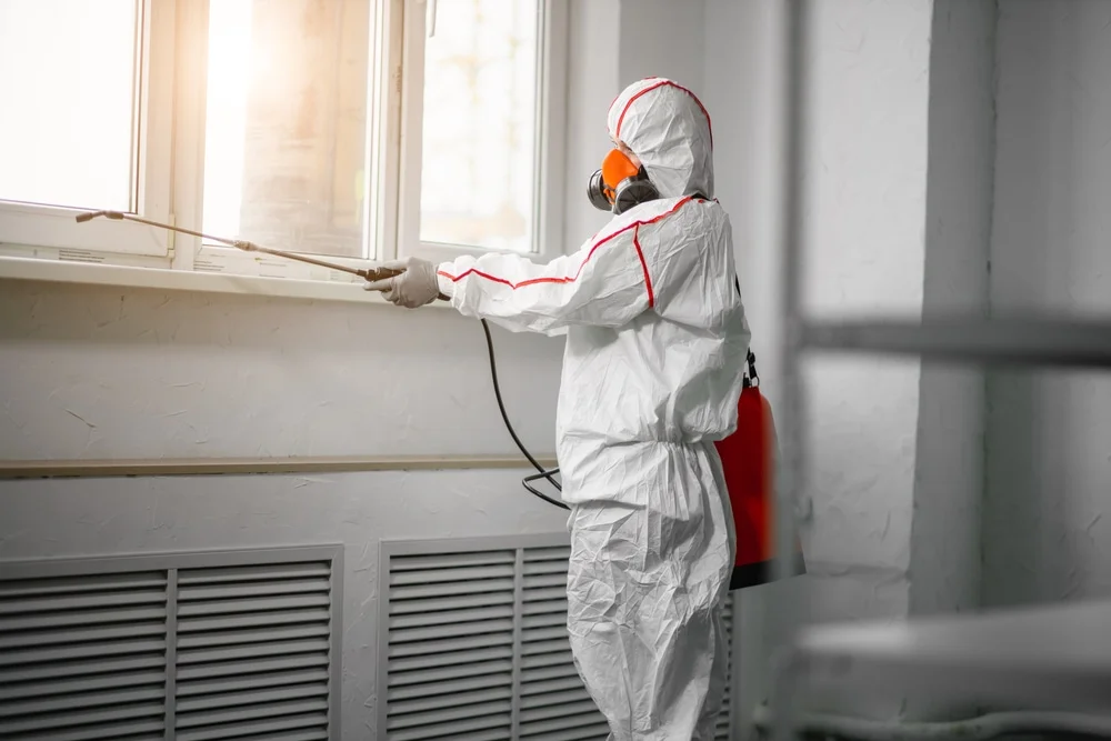 Professional mold remediation services in Mendham, NJ
